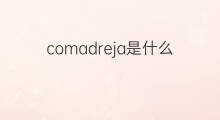 comadreja是什么意思 comadreja的中文翻译、读音、例句