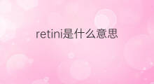 retini是什么意思 retini的中文翻译、读音、例句