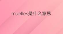 muelles是什么意思 muelles的中文翻译、读音、例句