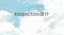 kaopectate是什么意思 kaopectate的中文翻译、读音、例句