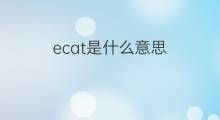 ecat是什么意思 ecat的中文翻译、读音、例句
