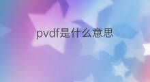 pvdf是什么意思 pvdf的中文翻译、读音、例句