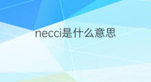 necci是什么意思 necci的中文翻译、读音、例句