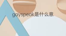 gayspeak是什么意思 gayspeak的中文翻译、读音、例句