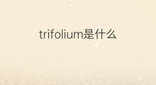 trifolium是什么意思 trifolium的中文翻译、读音、例句