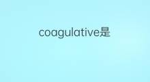 coagulative是什么意思 coagulative的中文翻译、读音、例句