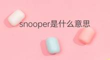 snooper是什么意思 snooper的中文翻译、读音、例句