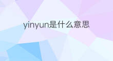 yinyun是什么意思 yinyun的中文翻译、读音、例句