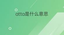 atta是什么意思 atta的中文翻译、读音、例句
