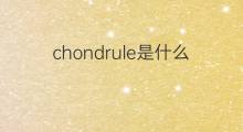 chondrule是什么意思 chondrule的中文翻译、读音、例句