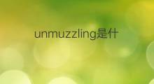 unmuzzling是什么意思 unmuzzling的中文翻译、读音、例句