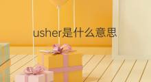 usher是什么意思 usher的中文翻译、读音、例句
