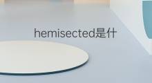 hemisected是什么意思 hemisected的中文翻译、读音、例句