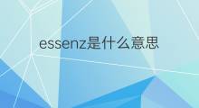 essenz是什么意思 essenz的中文翻译、读音、例句