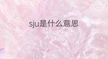 sju是什么意思 sju的中文翻译、读音、例句