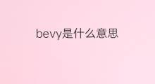 bevy是什么意思 bevy的中文翻译、读音、例句