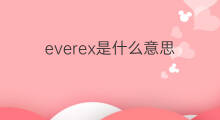everex是什么意思 everex的中文翻译、读音、例句