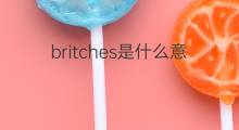 britches是什么意思 britches的中文翻译、读音、例句