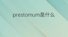 prestomum是什么意思 prestomum的中文翻译、读音、例句
