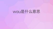 wau是什么意思 wau的中文翻译、读音、例句