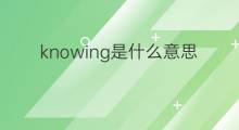 knowing是什么意思 knowing的中文翻译、读音、例句