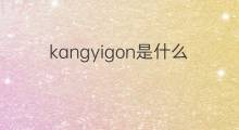 kangyigon是什么意思 kangyigon的中文翻译、读音、例句