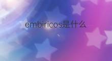 embiricos是什么意思 embiricos的中文翻译、读音、例句