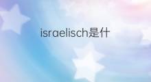 israelisch是什么意思 israelisch的中文翻译、读音、例句