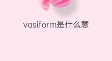 vasiform是什么意思 vasiform的中文翻译、读音、例句