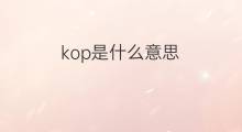 kop是什么意思 kop的中文翻译、读音、例句