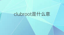 clubroot是什么意思 clubroot的中文翻译、读音、例句