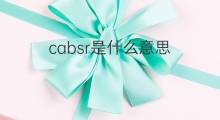 cabsr是什么意思 cabsr的中文翻译、读音、例句