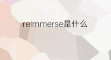 reimmerse是什么意思 reimmerse的中文翻译、读音、例句