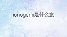 ionogemi是什么意思 ionogemi的中文翻译、读音、例句