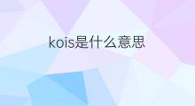 kois是什么意思 kois的中文翻译、读音、例句