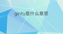 ginty是什么意思 ginty的中文翻译、读音、例句