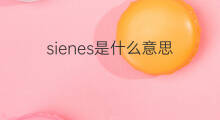 sienes是什么意思 sienes的中文翻译、读音、例句