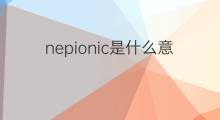 nepionic是什么意思 nepionic的中文翻译、读音、例句