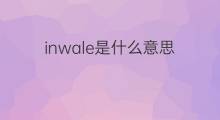 inwale是什么意思 inwale的中文翻译、读音、例句