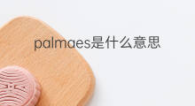 palmaes是什么意思 palmaes的中文翻译、读音、例句