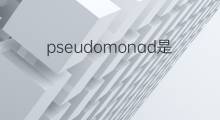 pseudomonad是什么意思 pseudomonad的中文翻译、读音、例句