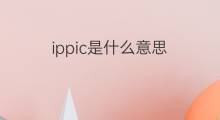 ippic是什么意思 ippic的中文翻译、读音、例句
