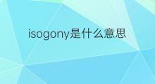 isogony是什么意思 isogony的中文翻译、读音、例句