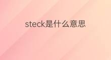 steck是什么意思 steck的中文翻译、读音、例句