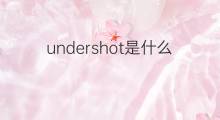 undershot是什么意思 undershot的中文翻译、读音、例句