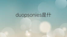 duopsonies是什么意思 duopsonies的中文翻译、读音、例句