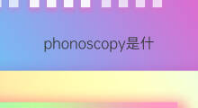 phonoscopy是什么意思 phonoscopy的中文翻译、读音、例句