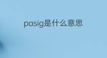 pasig是什么意思 pasig的中文翻译、读音、例句