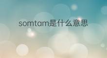 somtam是什么意思 somtam的中文翻译、读音、例句