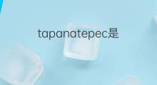 tapanatepec是什么意思 tapanatepec的中文翻译、读音、例句